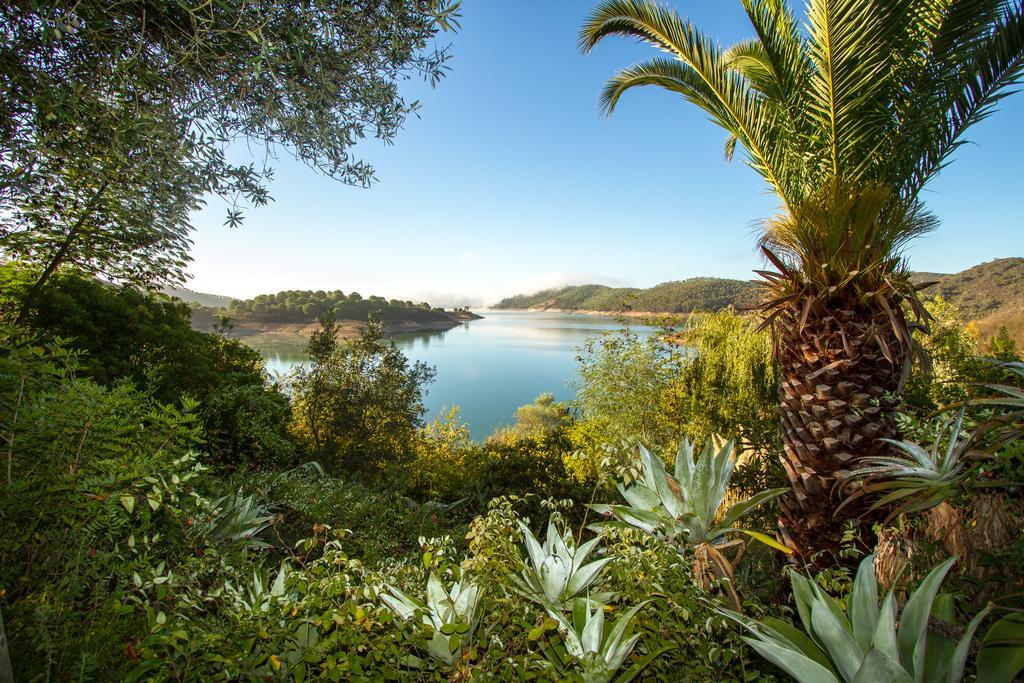 Paradise In Portugal サンタ・クラーラ・ア・ヴェーリャ エクステリア 写真