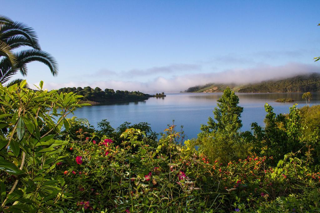 Paradise In Portugal サンタ・クラーラ・ア・ヴェーリャ エクステリア 写真