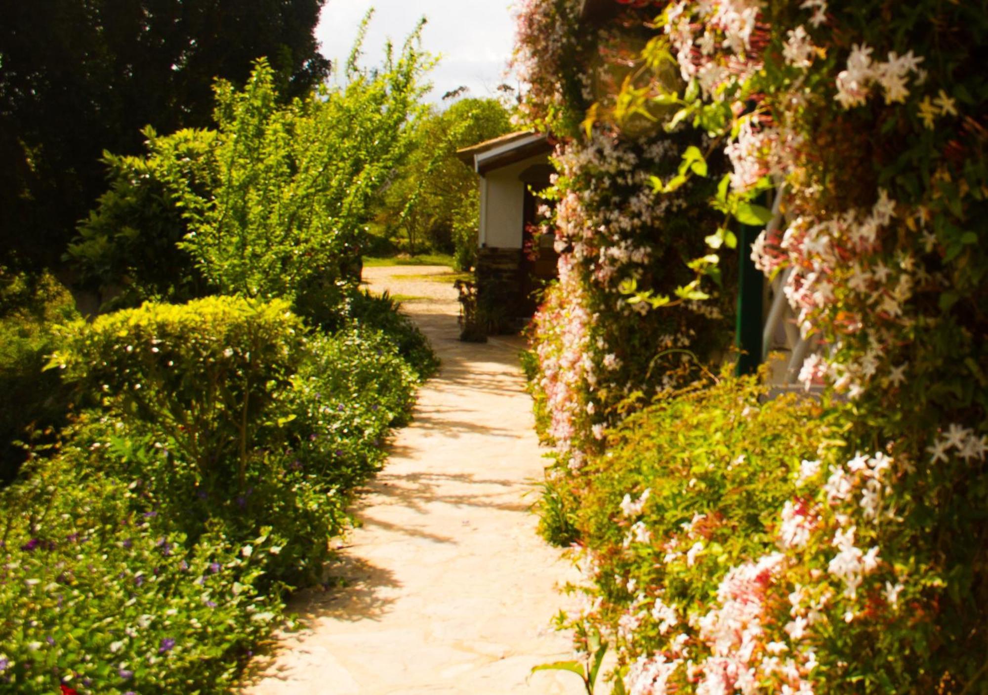 Paradise In Portugal サンタ・クラーラ・ア・ヴェーリャ エクステリア 写真